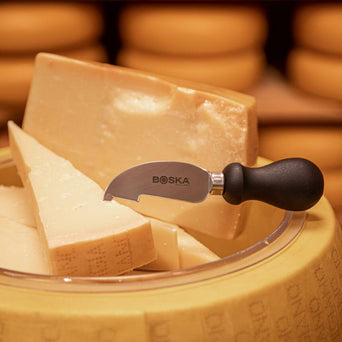Käse- Attrappe Parmesan Reggiano, mit Schüssel